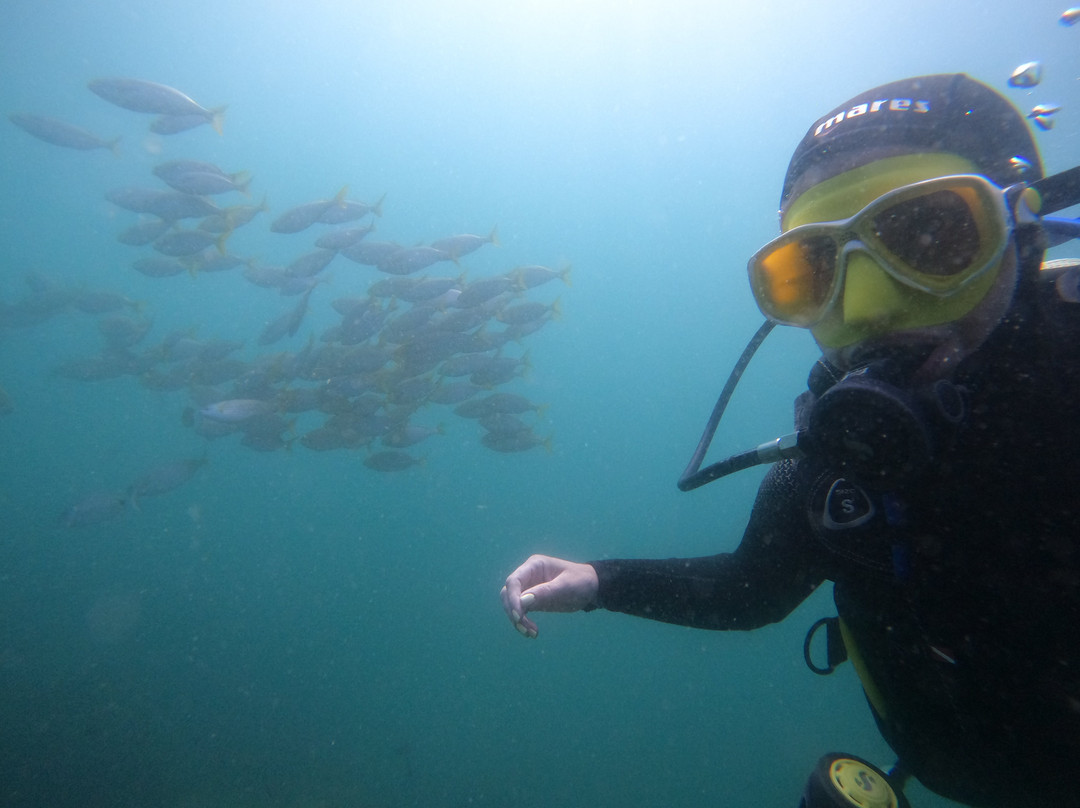 Buceo Aqualia La Herradura-拉埃拉杜拉必去景点