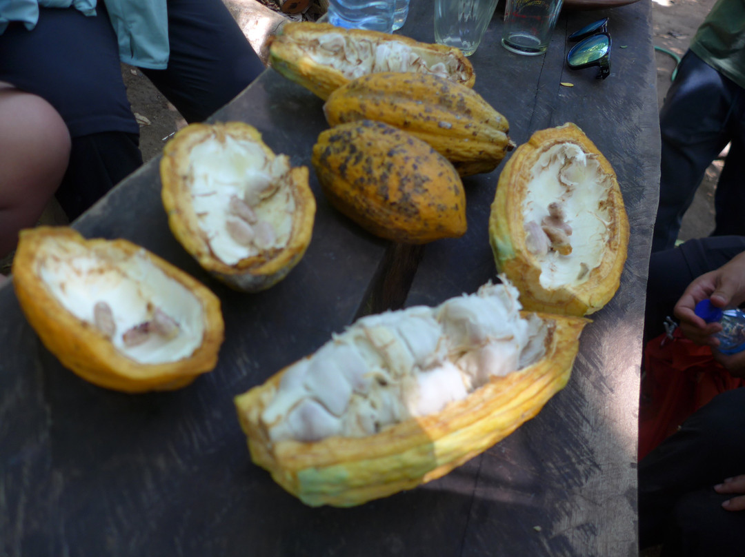 Lombok Forest Tour-Pemenang必去景点