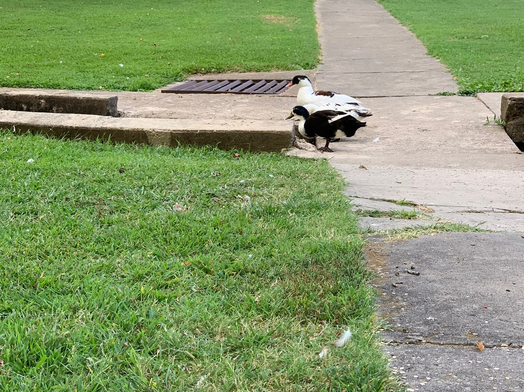 Janssen Park Place B&B主图