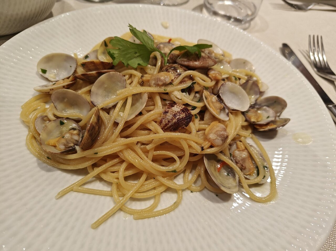 Scampi