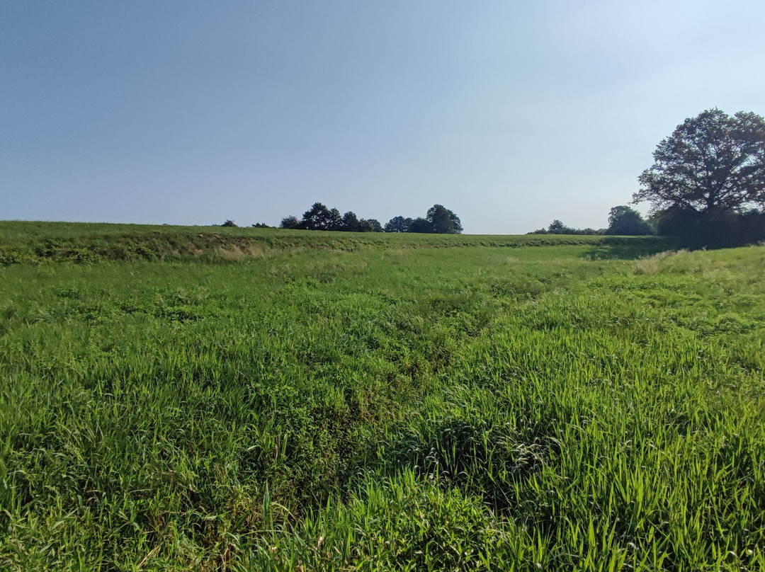The Former Ljubljanica River Bed-Preserje必去景点