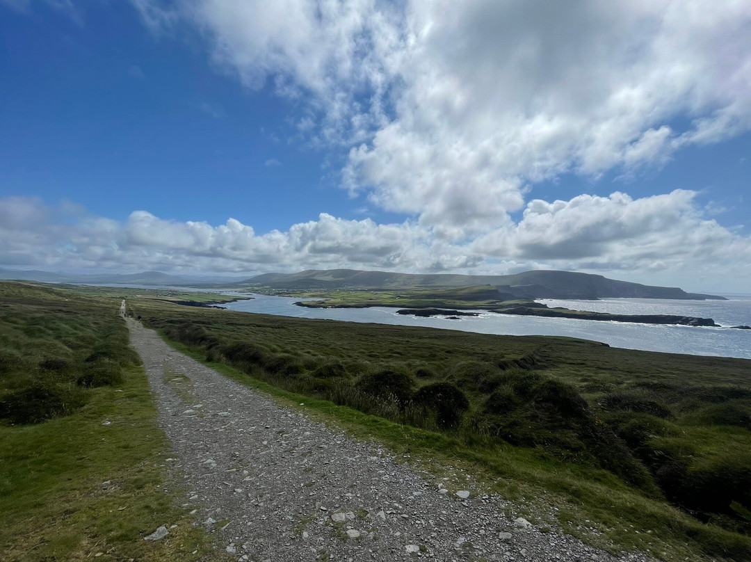 Bray Head Loop Walk-Valentia Island必去景点