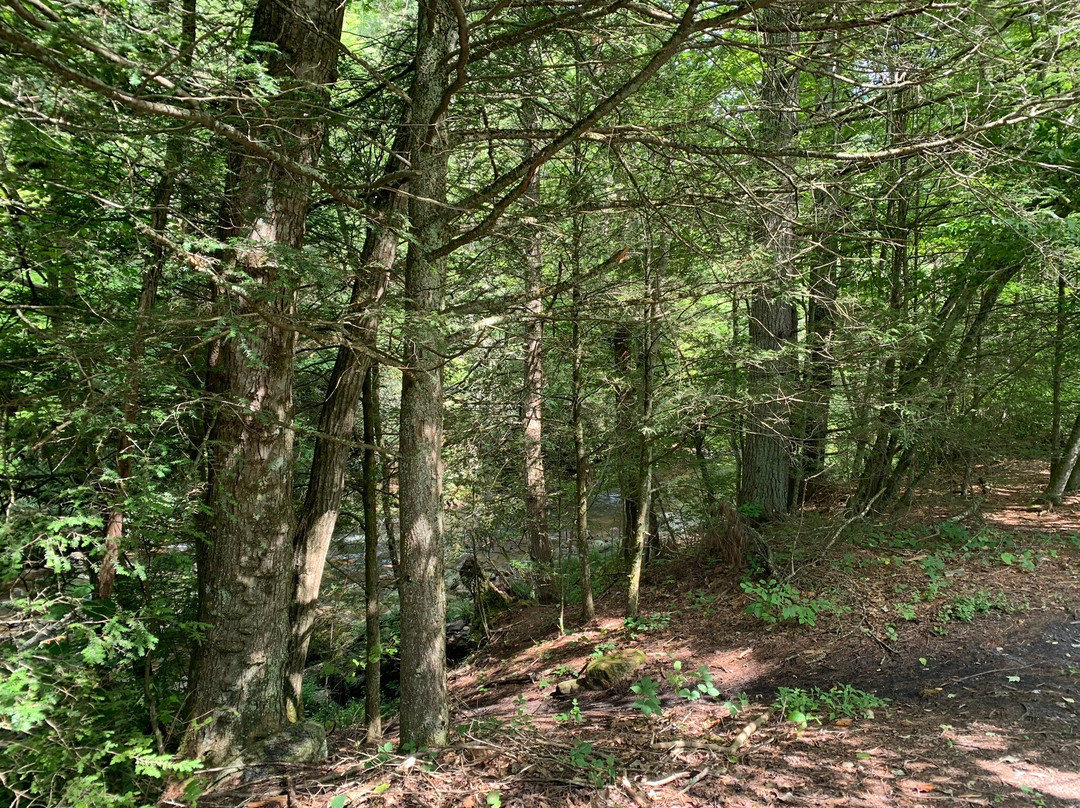 The Bike Station-Damascus必去景点