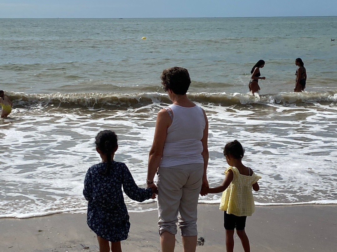 Plage des Demoiselles景点图片