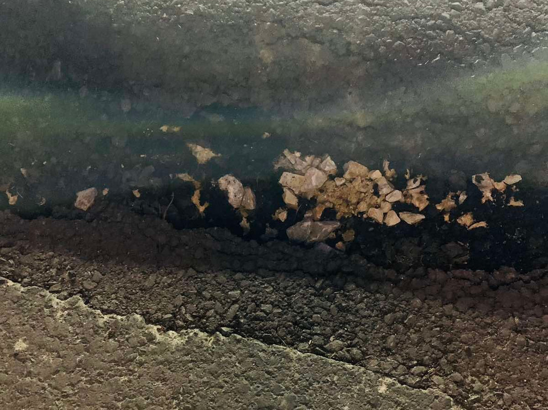 Spa Resort & Hotel Fruske Terme主图