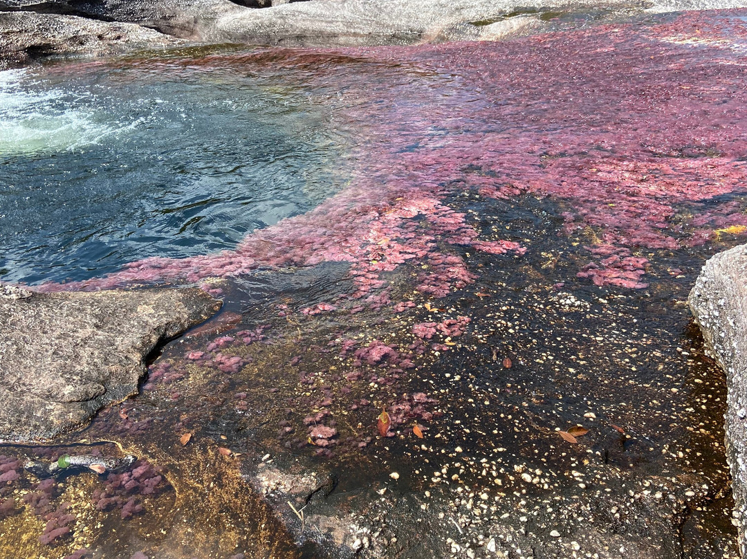Gaia Tours-La Macarena必去景点