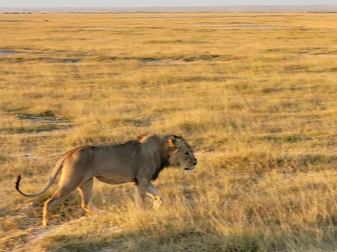 Kifola Safaris-瓦塔木必去景点