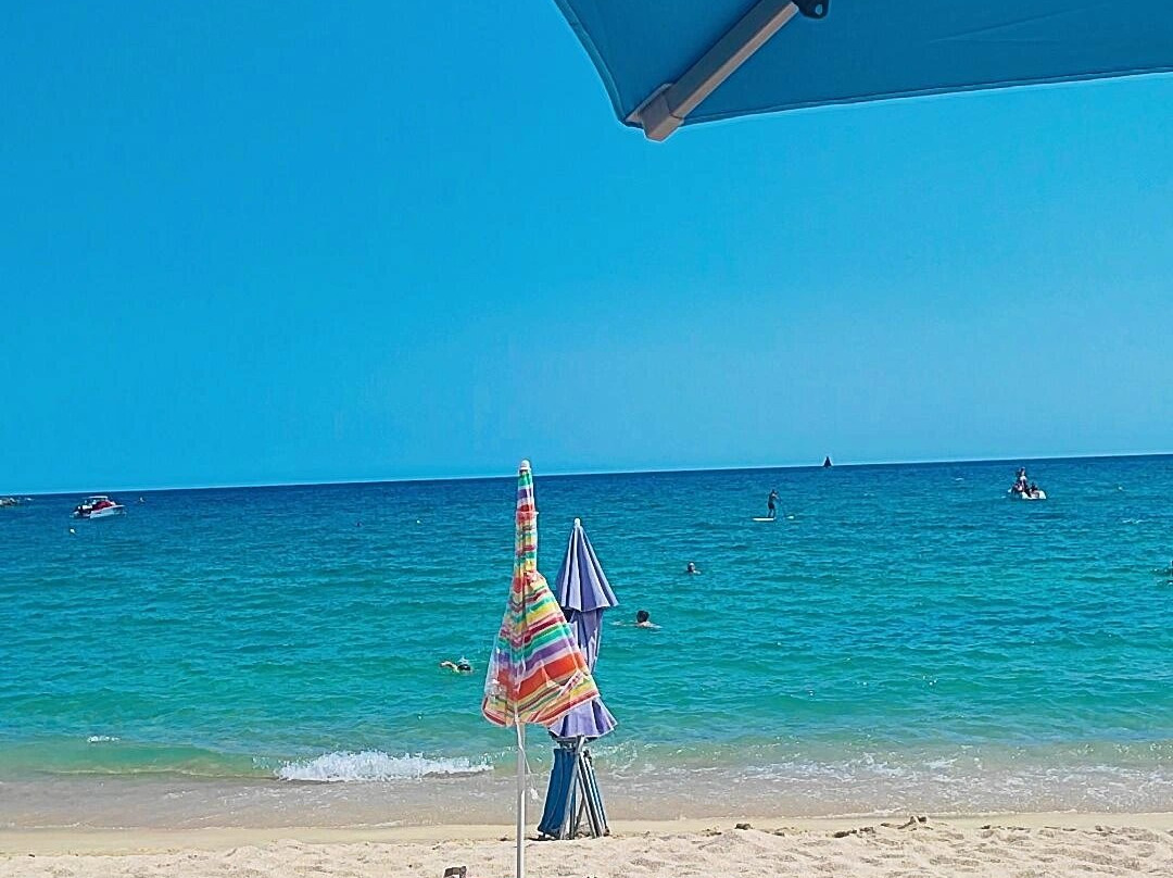 Kalamitsi Beach-Sarti必去景点