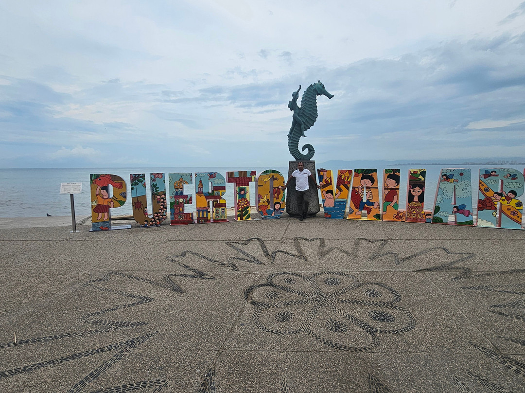 El Centro-瓦拉塔港必去景点