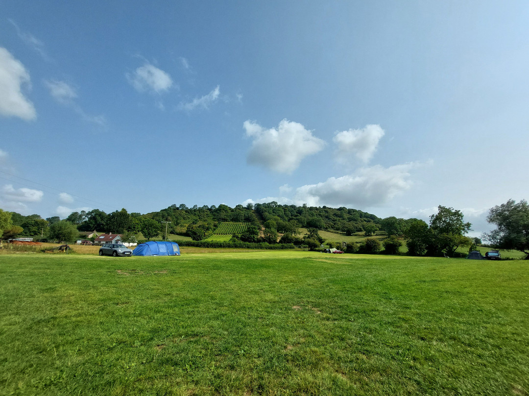 Pine Tree Farm Caravan Park