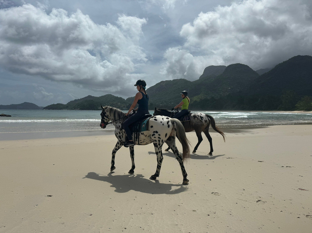 Turquoise Horse Trails-马埃岛必去景点