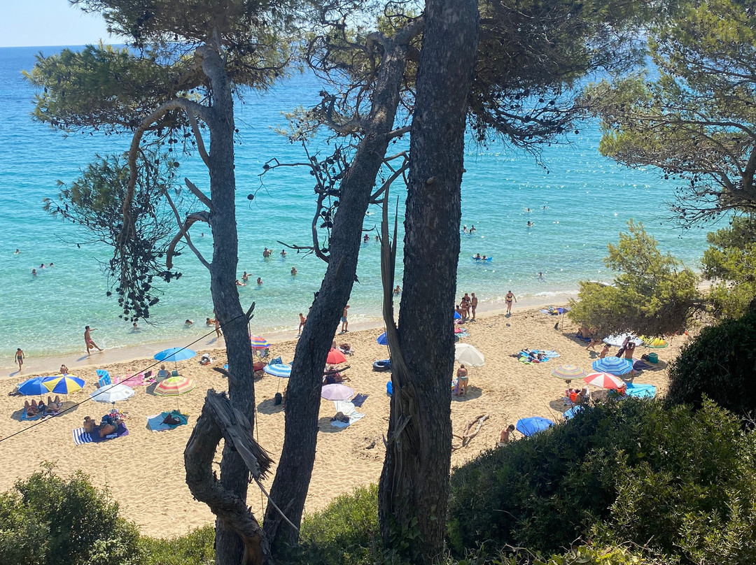 My Little Place On The Hill主图