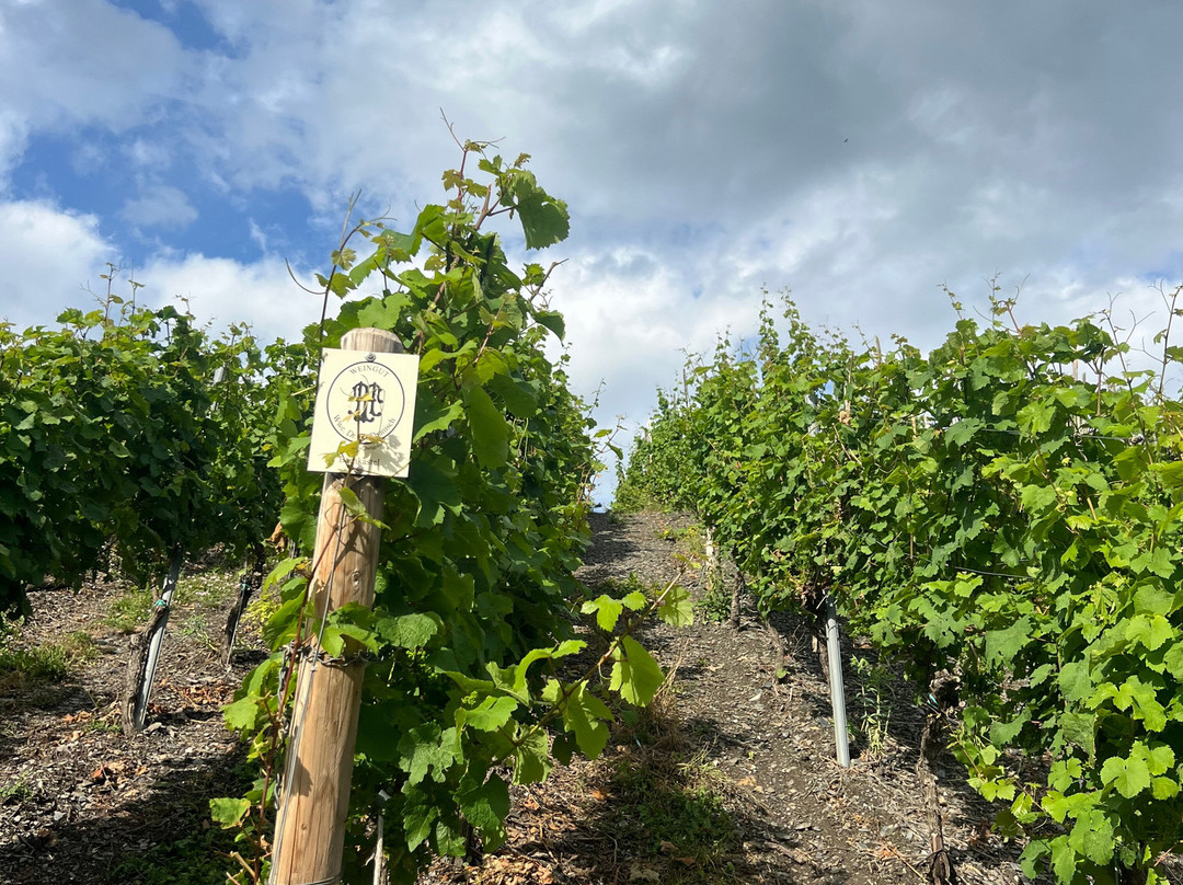 Weingut Dr. Loosen-贝恩卡斯特尔－屈斯必去景点