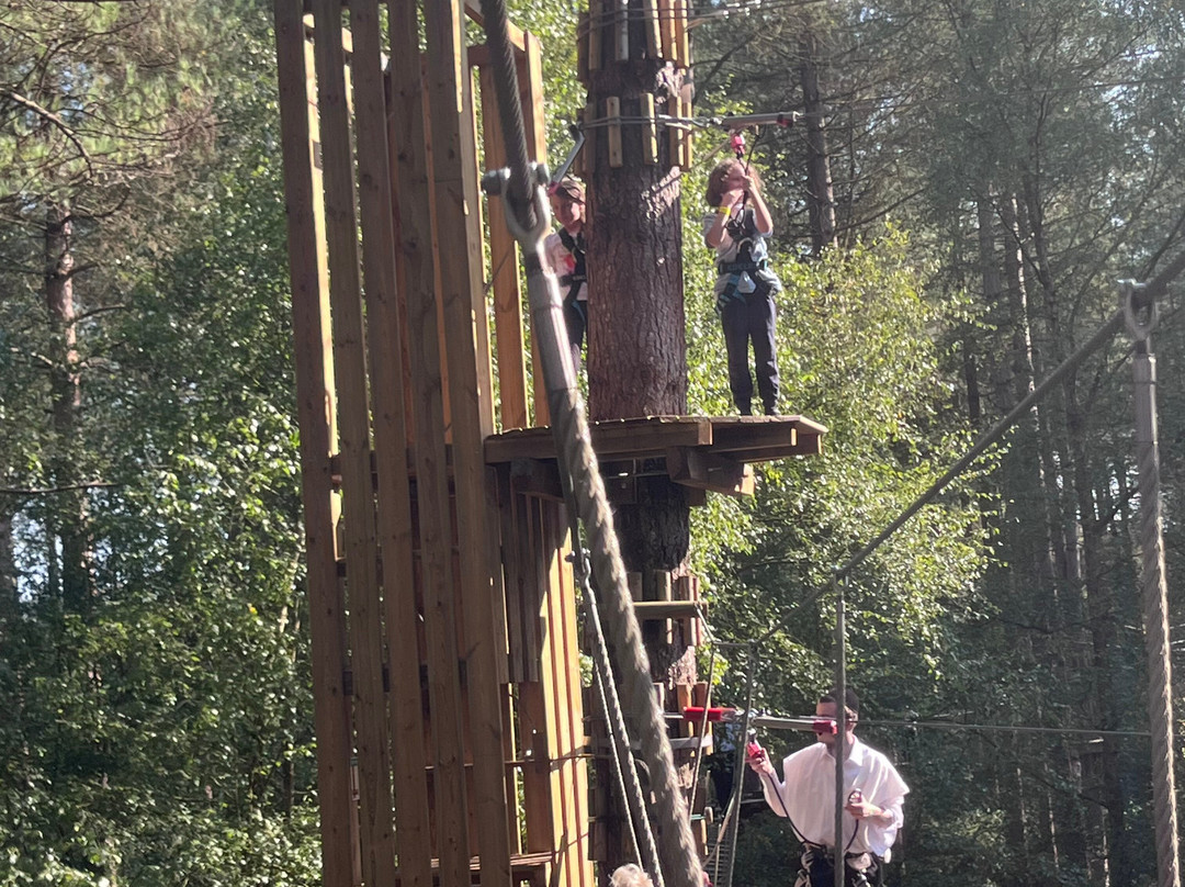 Go Ape Moors Valley景点图片