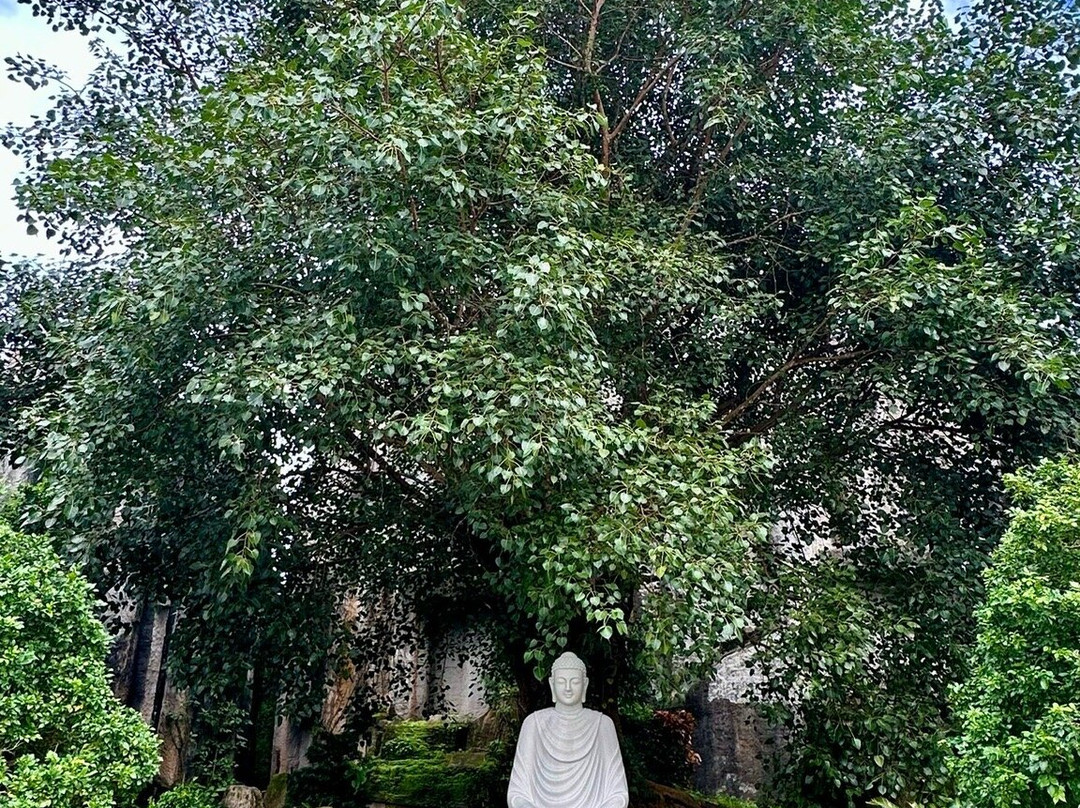 Chùa Vạn Linh-Tinh Bien必去景点