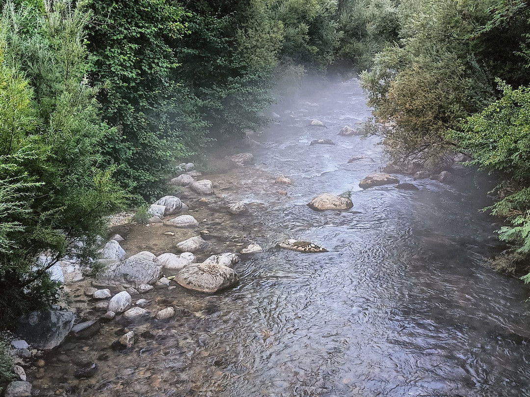 Parco Fluviale delle Acquevive景点图片
