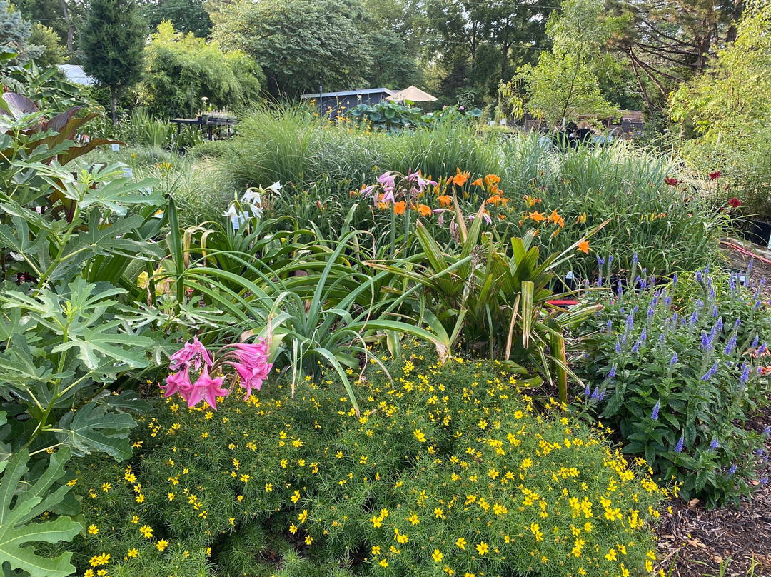 Kansas Plant Farm-劳伦斯必去景点