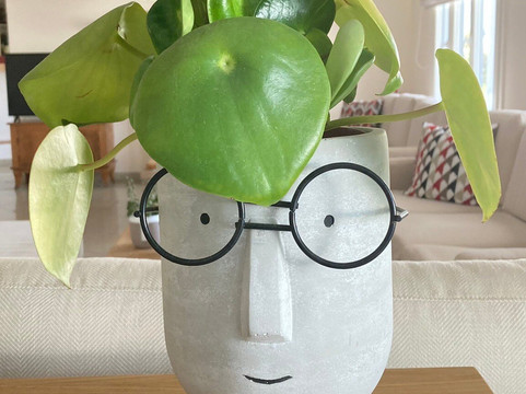 阿多尼斯酒店主图