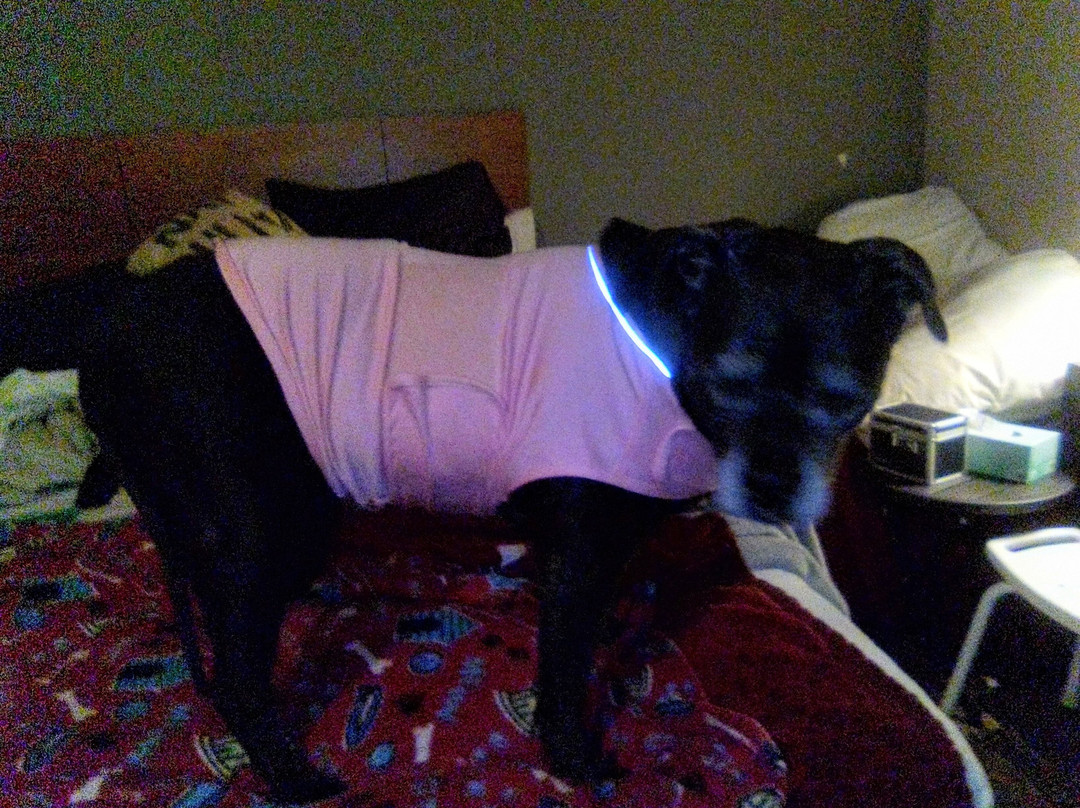 WoodSpring Suites Frederick主图