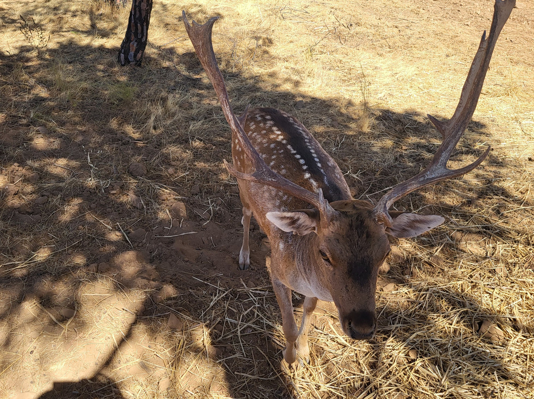 Parque Mata Da Conceicao-null必去景点