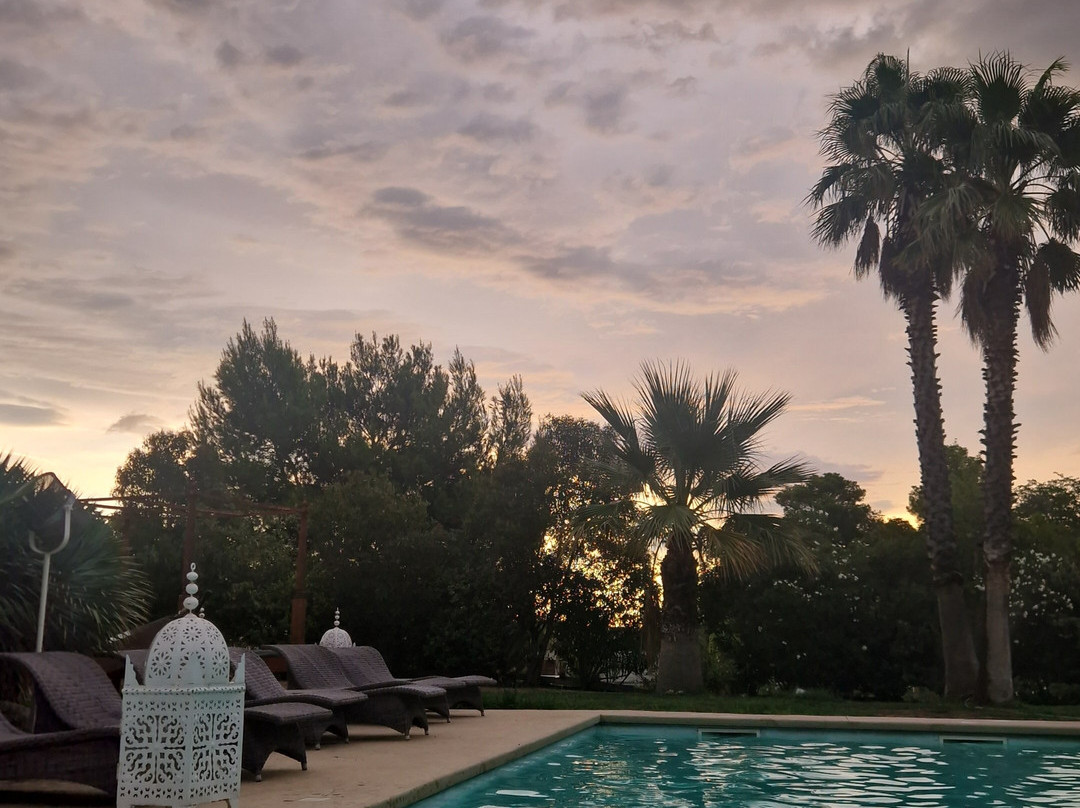 Escapades Lointaines B&B Chambres d'hôtes Perpignan Collioure主图