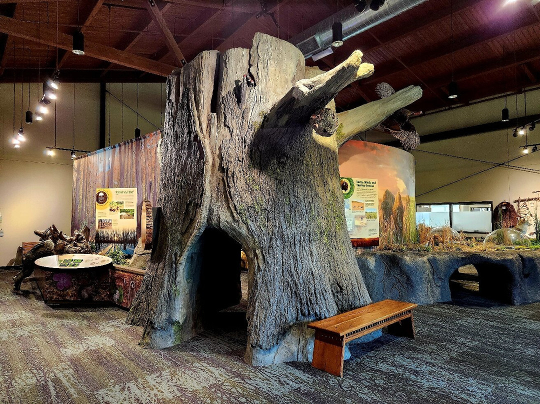 Jay C. Hormel Nature Center景点图片