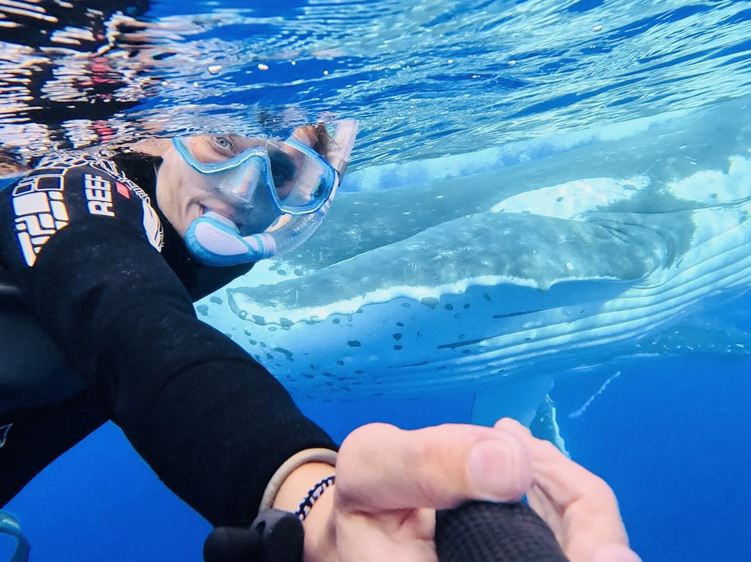 Explore Niue Island Tour-阿洛菲必去景点