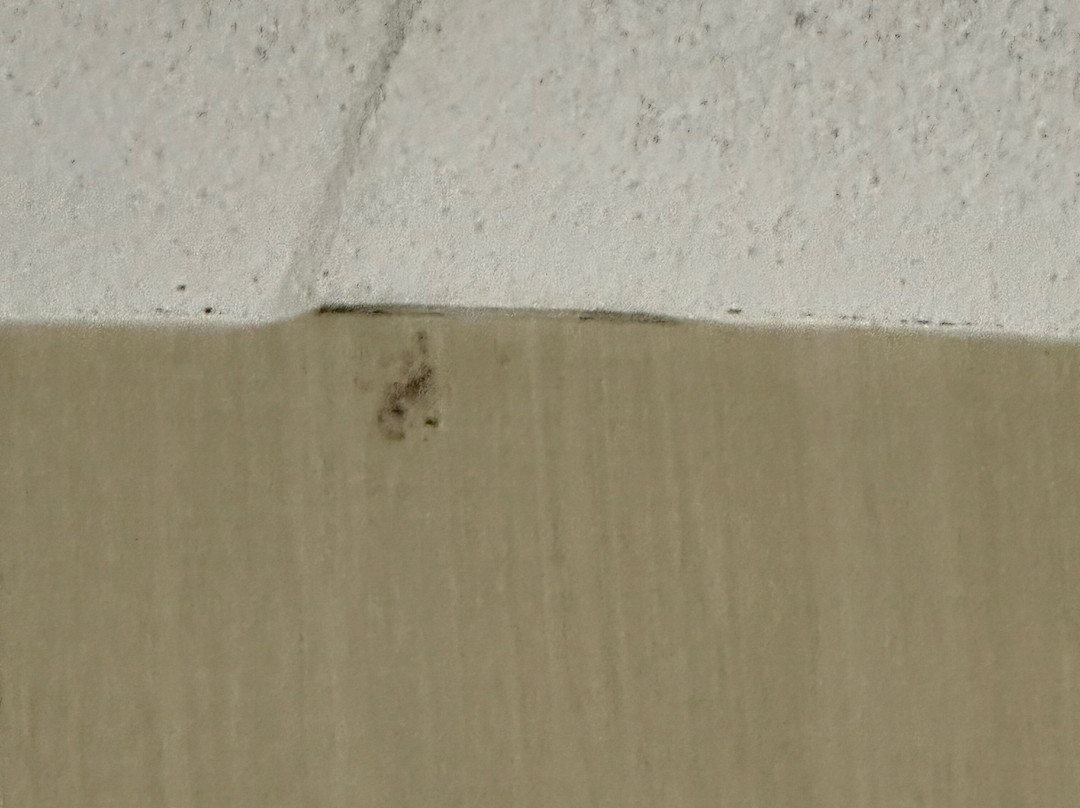 Wingate by Wyndham Springfield主图