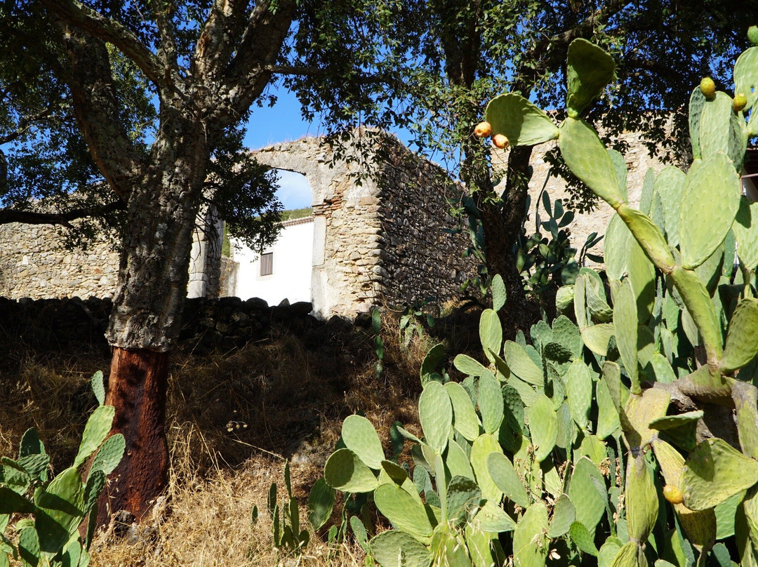 Convento da Provença主图