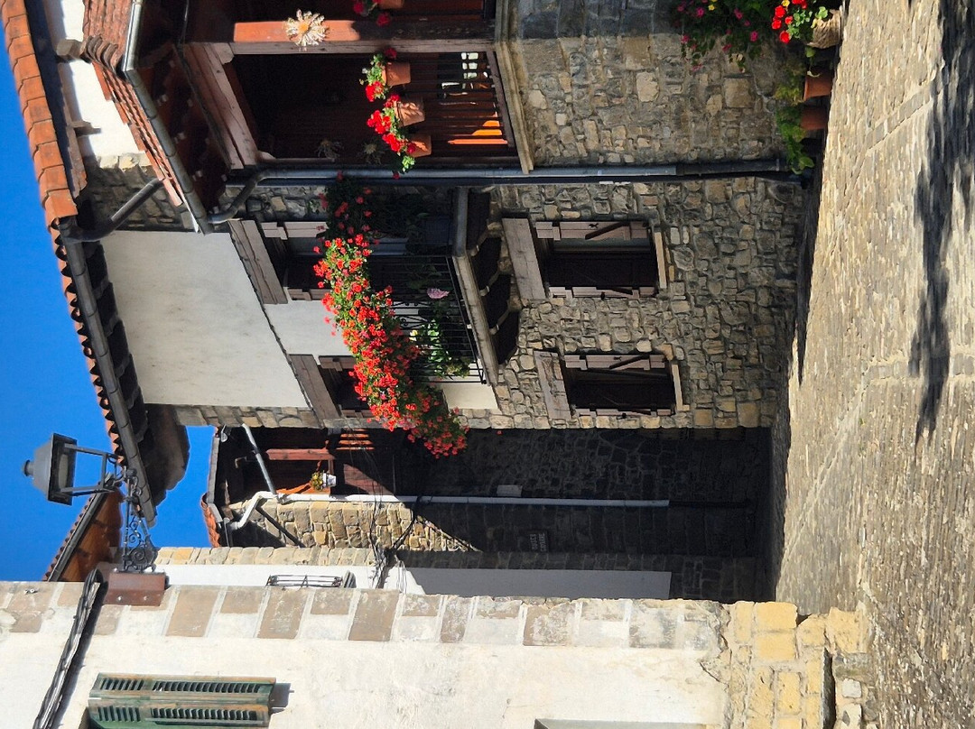 Centro histórico-Roncal必去景点