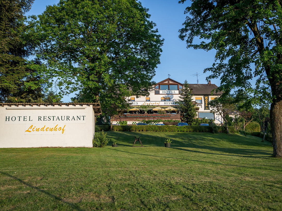 Lindenhof主图