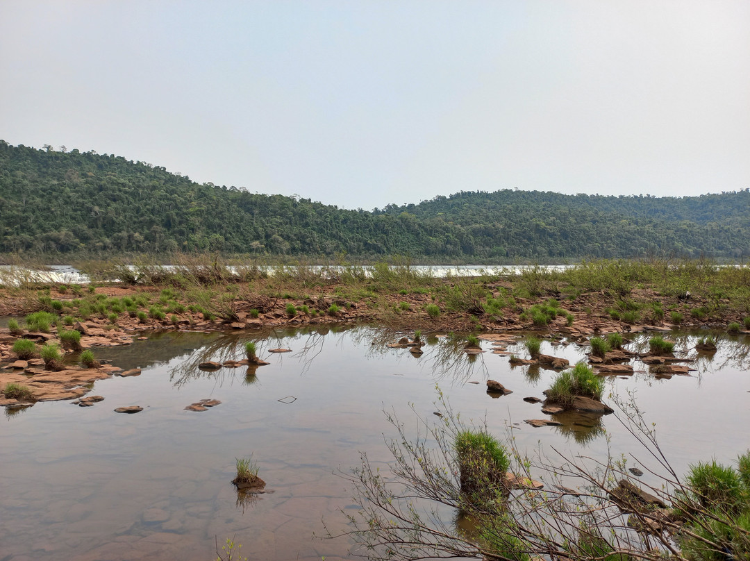 State Park of Turvo景点图片