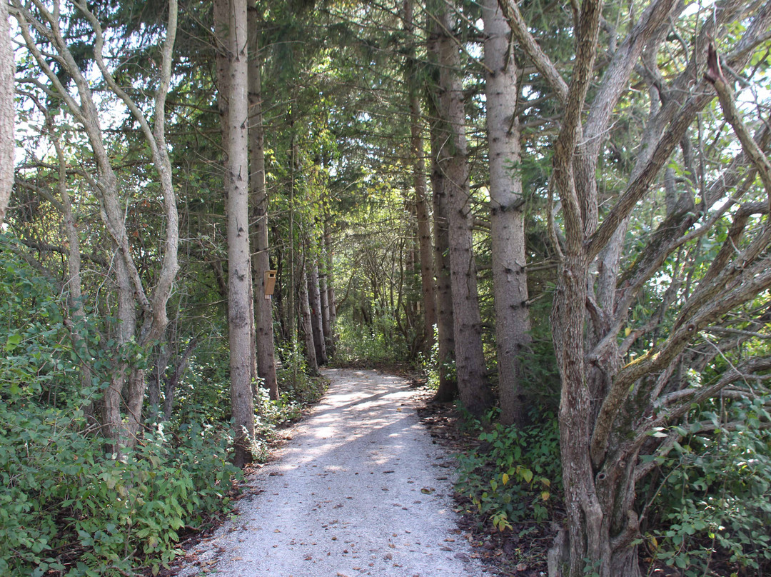 Lorne C. Henderson Conservation Area景点图片