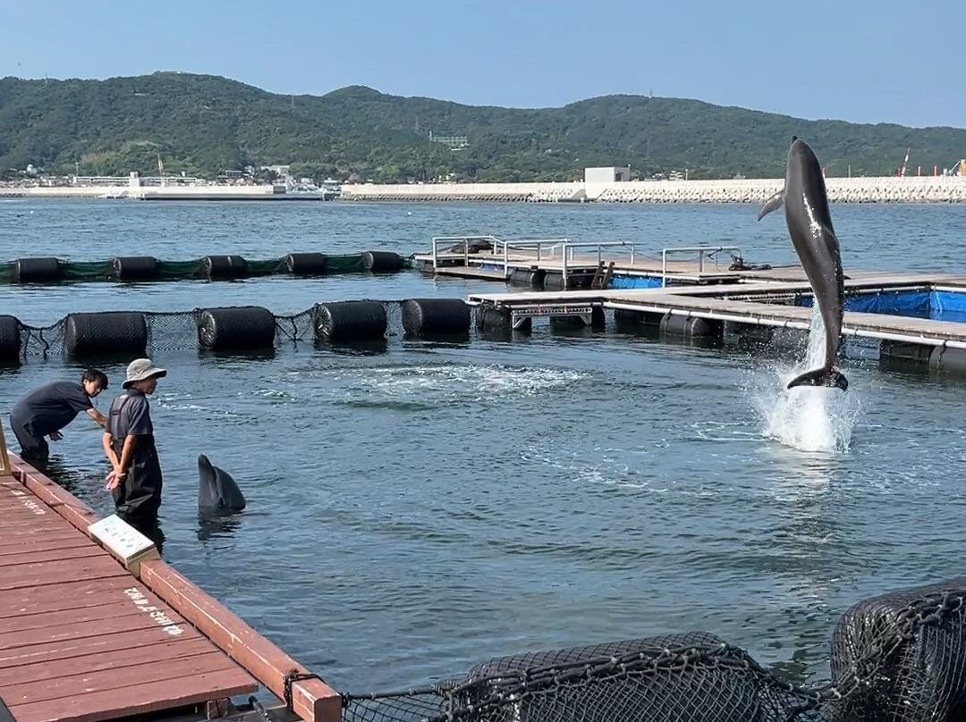Janohire Dolphin Farm-南淡路市必去景点