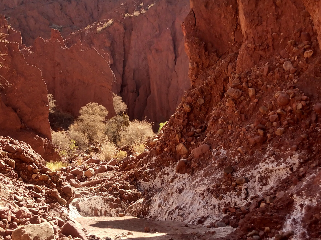 Valle Hermoso Tours-Tupiza必去景点