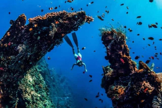 Amed Snorkeling Center