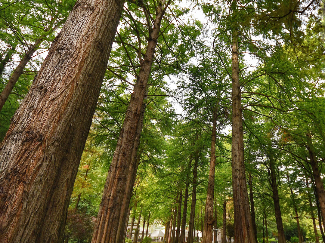 Parco Delle Terme Di Boario-Darfo Boario Terme必去景点