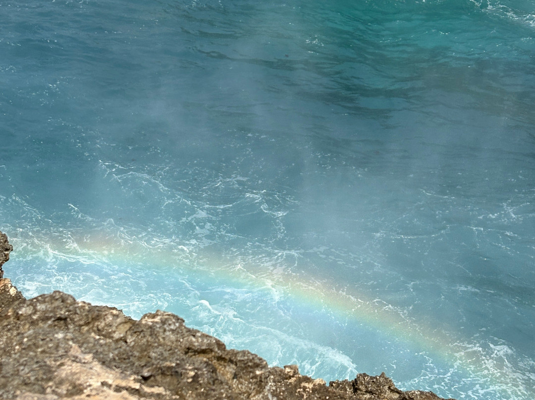 Great Komodo Tour-Labuan Bajo必去景点