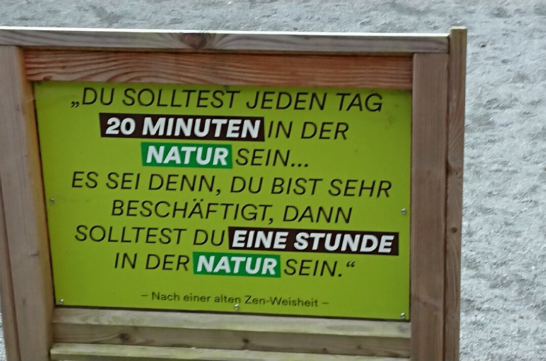 Aussichtplattform Adlerhorst - Baumwipfelpfad Rügen Naturerbezentrum Rügen景点图片