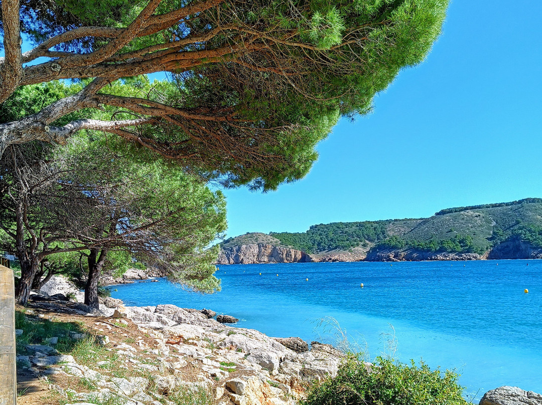 Cala Montgo景点图片