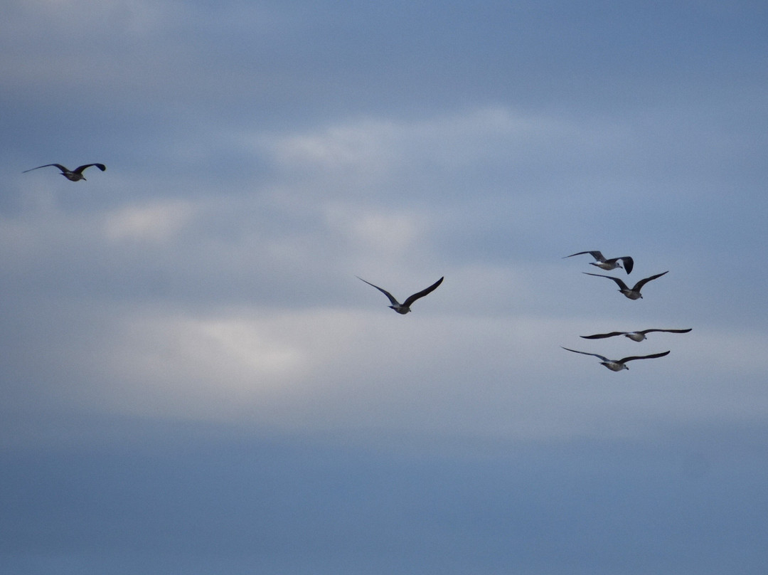 Playa de Las Moreras-穆尔西亚马萨龙港必去景点