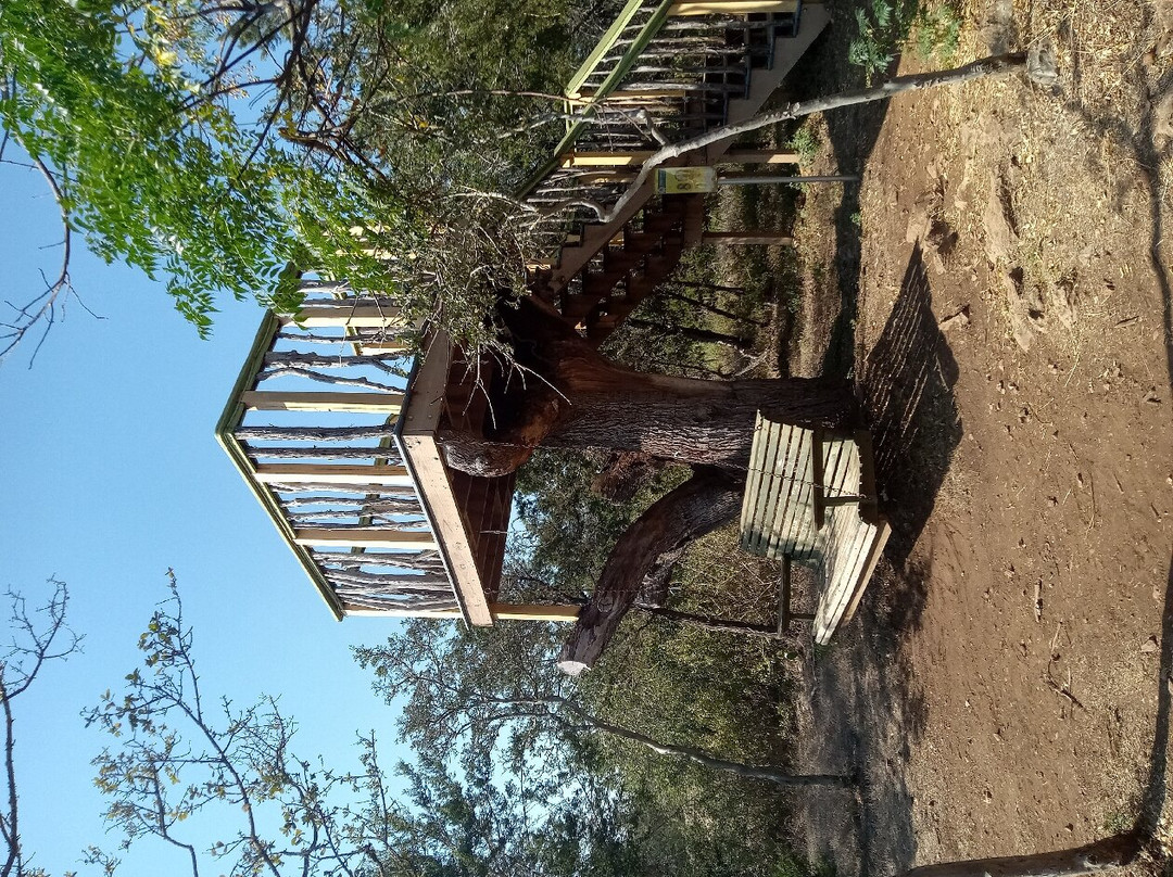 Flying Armadillo Disc Golf Club-圣马科斯必去景点