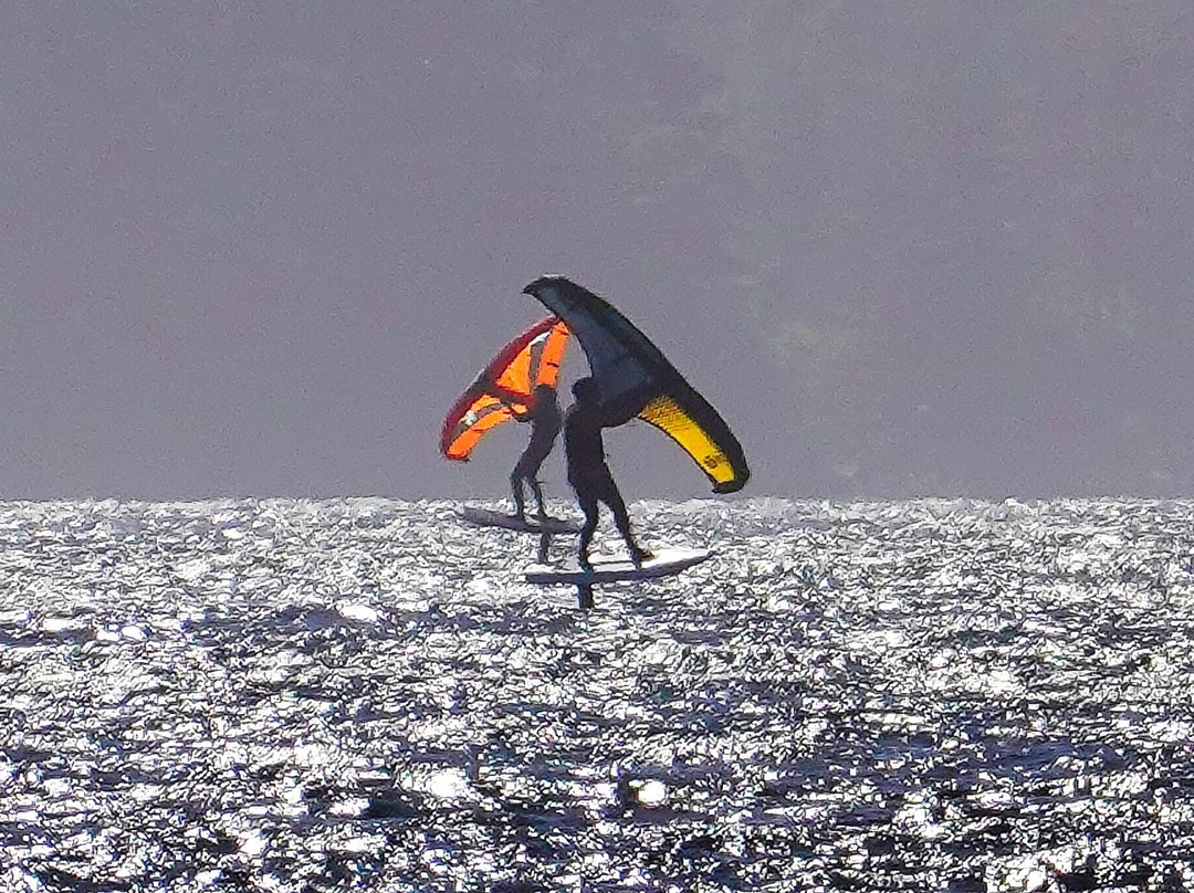 Floras Lake House Bed & Breakfast主图