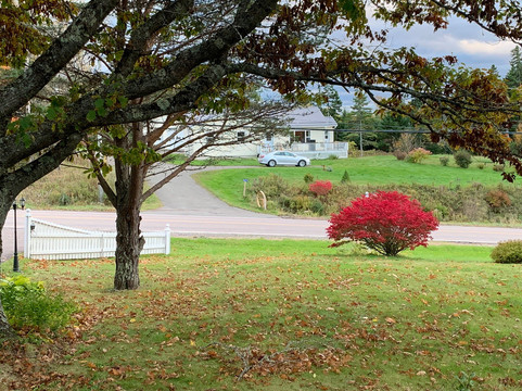 Innisfree Bed and Breakfast Hopewell Rock主图