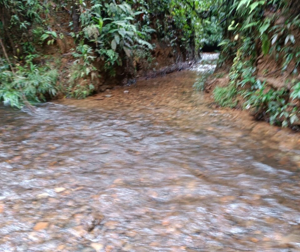 Reserva Natural San Cipriano景点图片