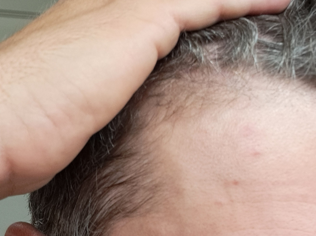 Gateway Park Hotel & Suites主图