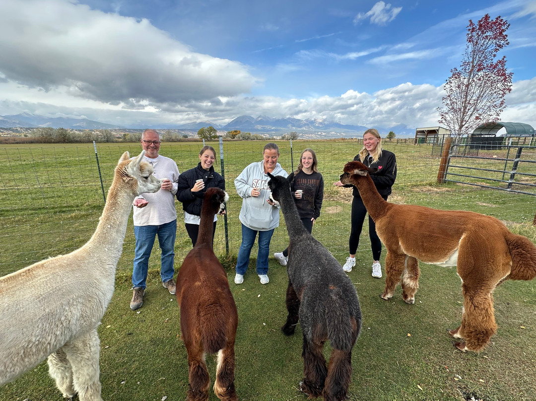 Hallmark Ranch Alpacas-萨利达必去景点