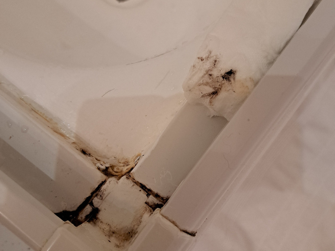 Hotel Zur Burg Sternberg GmbH & Co. KG主图