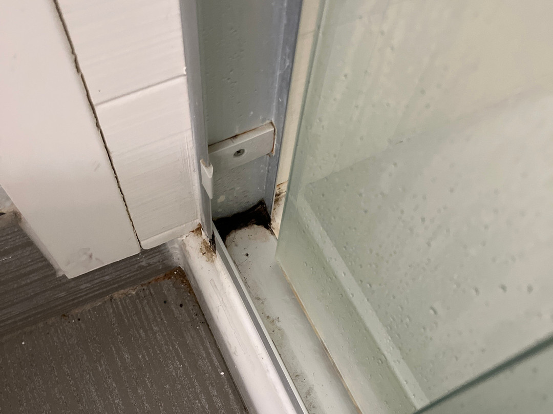 La Quinta Inn & Suites By Wyndham Erie主图