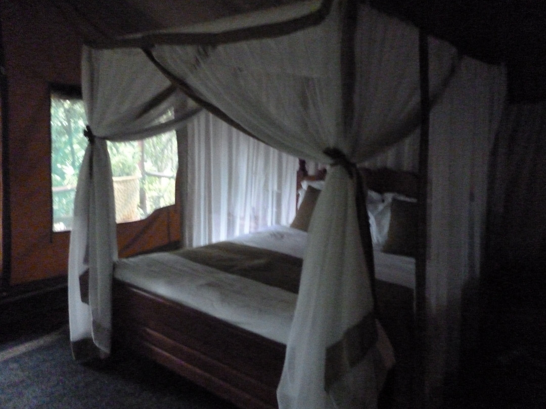 Rhino Watch Safari Lodge主图